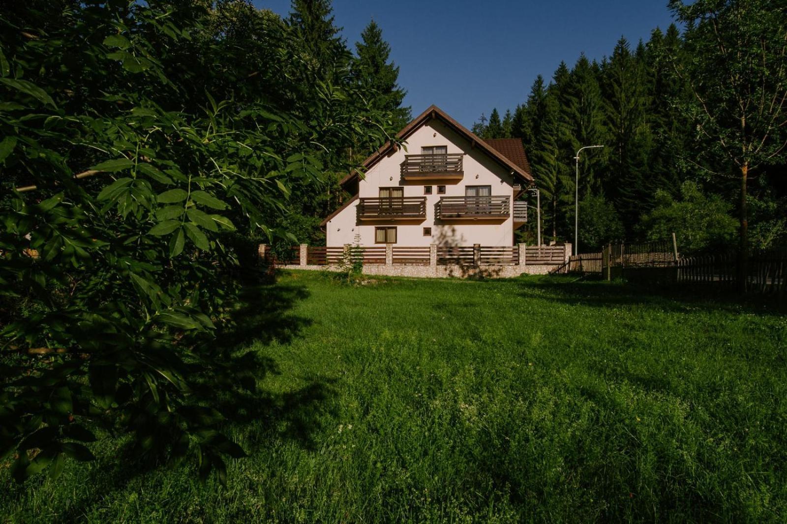 Vila Green & White Moeciu De Sus Exterior photo